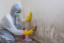 Best Mold Prevention Services  in Taylorvle, IL